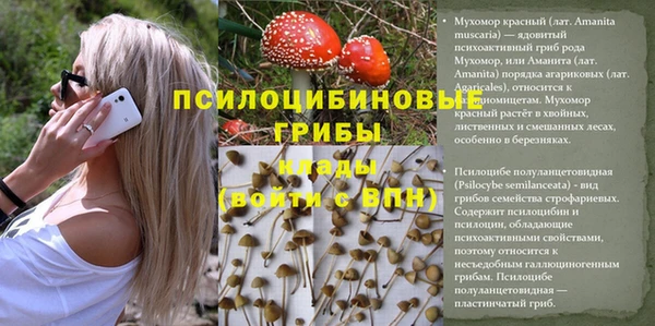 шишки Волосово