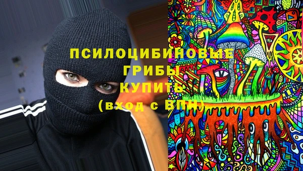 СК Володарск