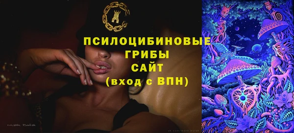 шишки Волосово