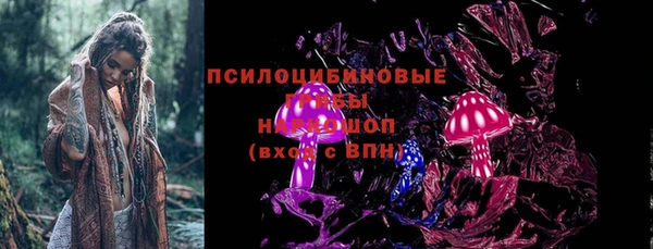 шишки Волосово